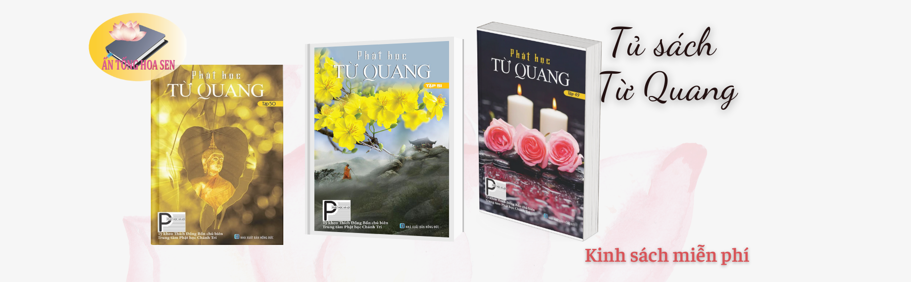 an tong hoa sen